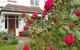 Beechlands B & B