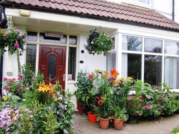 Beechlands B & B Sleights Exterior photo