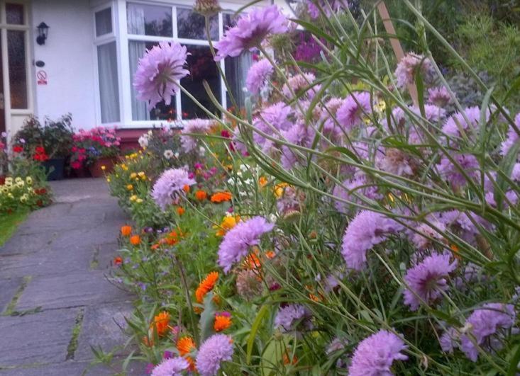 Beechlands B & B Sleights Exterior photo